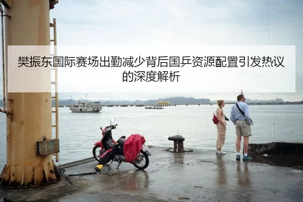 樊振东国际赛场出勤减少背后国乒资源配置引发热议的深度解析