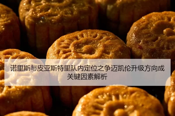 诺里斯与皮亚斯特里队内定位之争迈凯伦升级方向成关键因素解析
