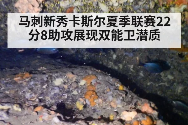 马刺新秀卡斯尔夏季联赛22分8助攻展现双能卫潜质