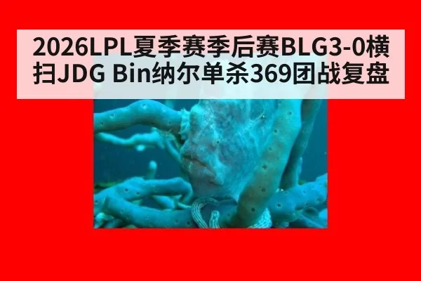 2026LPL夏季赛季后赛BLG3-0横扫JDG Bin纳尔单杀369团战复盘