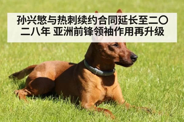 孙兴慜与热刺续约合同延长至二〇二八年 亚洲前锋领袖作用再升级
