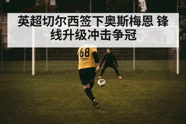 英超切尔西签下奥斯梅恩 锋线升级冲击争冠